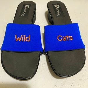Anesole Wild Cats royal blue sandals size 9 featured by shark tank shown on TV